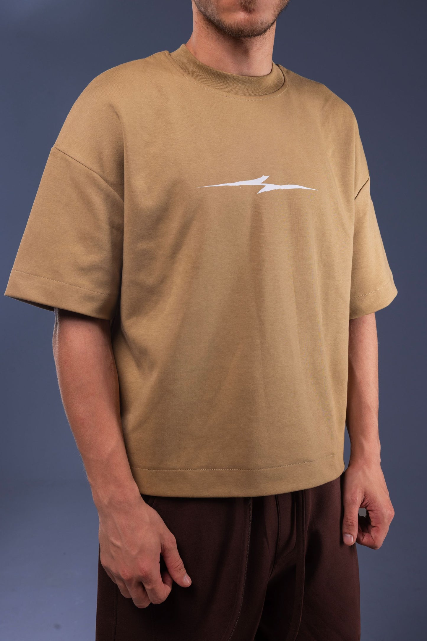 HOLDERS BOX-FIT T-SHIRT / Biege